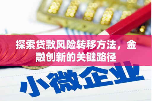 依兰探索贷款风险转移方法，金融创新的关键路径