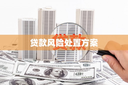 依兰贷款风险处置方案