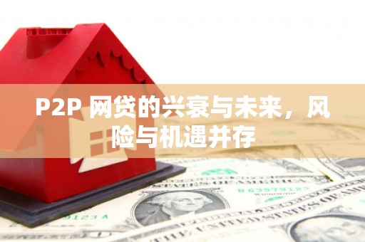 依兰P2P 网贷的兴衰与未来，风险与机遇并存