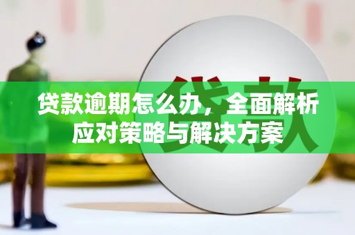 依兰贷款逾期怎么办，全面解析应对策略与解决方案