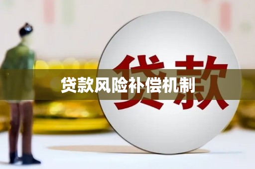 依兰贷款风险补偿机制