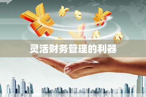 依兰灵活财务管理的利器