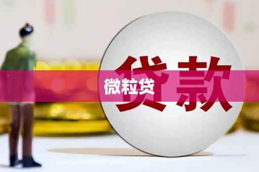 依兰微粒贷