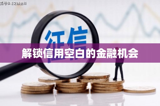 依兰解锁信用空白的金融机会