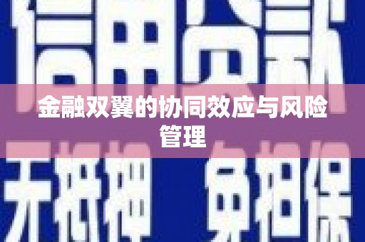 依兰金融双翼的协同效应与风险管理