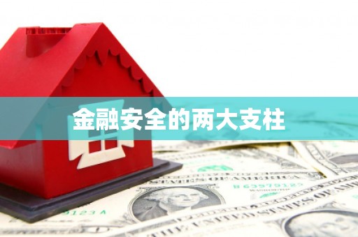 依兰金融安全的两大支柱