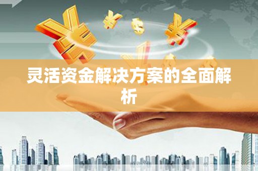 依兰灵活资金解决方案的全面解析