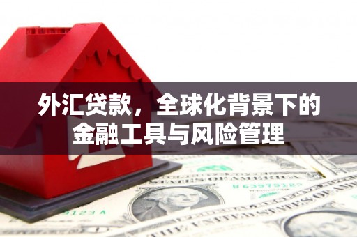 依兰外汇贷款，全球化背景下的金融工具与风险管理