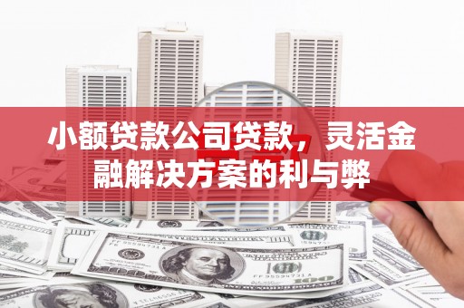 依兰小额贷款公司贷款，灵活金融解决方案的利与弊